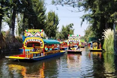 Tour privado a Xochimilco & Anahuacalli & Frida Kahlo Museum & Co