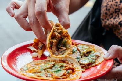 Las 10 degustaciones de México con lugareños: tour gastronómico p