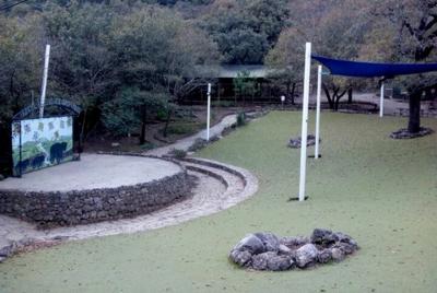 Aventura al Parque Ecológico Chipinque en Nuevo León 