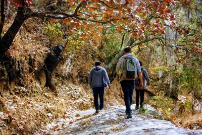 Enjoy a full day in my zapotec village Enjoy a full day in my zapotec village