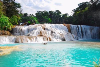 Desde Palenque Misol Ha, Agua Azul y Traslado a San Cristóbal de  Desde Palenque Misol Ha, Agua Azul y Traslado a San Cristóbal de