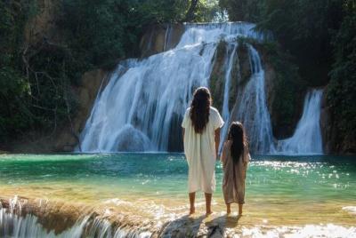 Dia Completo en las Cascadas Las Golondrinas desde Palenque Dia Completo en las Cascadas Las Golondrinas desde Palenque