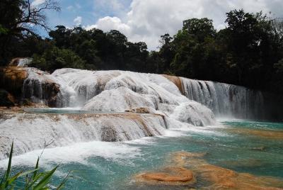 Recorrido de medio día a las cataratas Agua Azul y Misol-Ha desde Recorrido de medio día a las cataratas Agua Azul y Misol-Ha desde