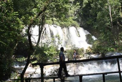 Desde Palenque Caminata por la Selva 1 día Desde Palenque Caminata por la Selva 1 día
