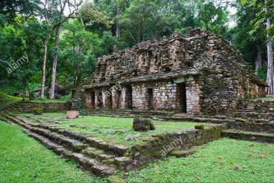 Desde Palenque a Bonampak - Yaxchilan Selva 1 día Desde Palenque a Bonampak - Yaxchilan Selva 1 día