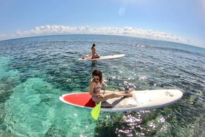 PaddleBoard Caribeño