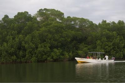 Laguna de la garza de Tigre (Chacahua) desde Puerto Escondido