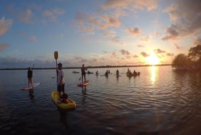Stand Up Paddleboarding (SUP) - Tour
