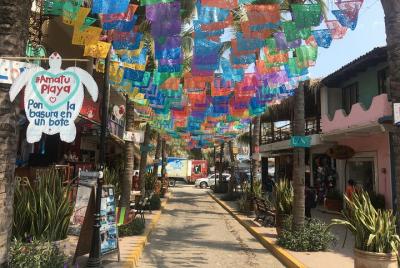 Sayulita y San Pancho Beach Town Tour