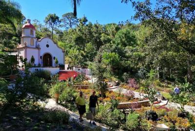 Visita a los encantos botánicos y aventura culinaria
