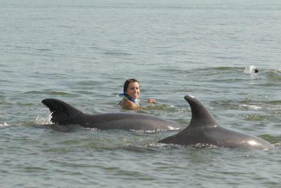 Nadar con delfines salvajes gratis en Puerto Vallarta
