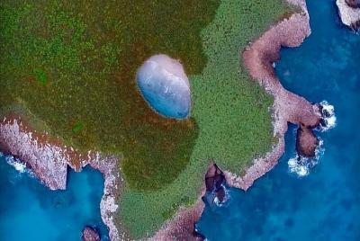 Recorrido en Catamarán a las Islas Marietas y Playa Nopalera
