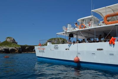 Islas Marietas - Increíble Tour Catamarán Islas Marietas - Increíble Tour Catamarán