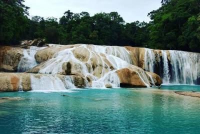Dia Completo en Cascadas de Agua Azul, Misol Ha y Palenque  Dia Completo en Cascadas de Agua Azul, Misol Ha y Palenque