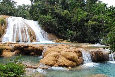 Recorrido de día completo en Agua Azul con traslado desde San Cri