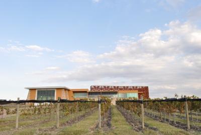 Cata de Vinos Crianza en Tres Raíces