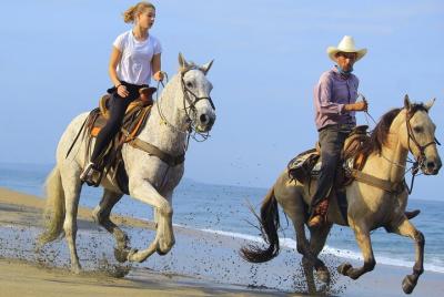 Excursiones a caballo en Sayulita por los senderos de la selva ha