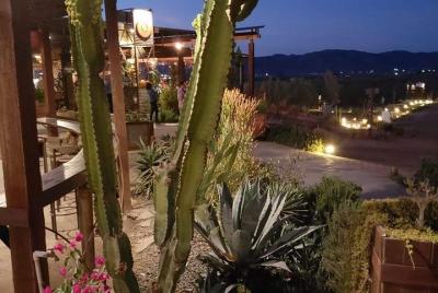 Tour del Valle del Vino de Guadalupe
