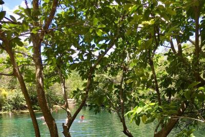 2 cenotes, bicicletas y almuerzo