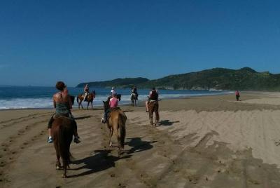 Paseo a caballo por la playa y a través de una plantación de coco