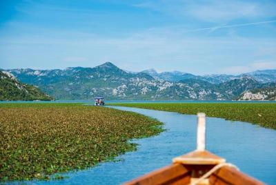 Lago Skadar: crucero de medio día: el río Crnojević Lago Skadar: crucero de medio día: el río Crnojević
