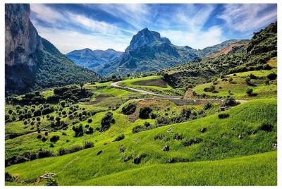 Valle del Ourika Montañas del Atlas | Excursión compartida de un 