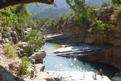 Excursión guiada a Paradise Valley 1/2 día