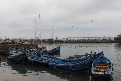 Excursión de un día desde Marrakech a Essaouira