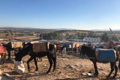 Mercado bereber en Ida Ogourd y visita Argankooperative (solo los