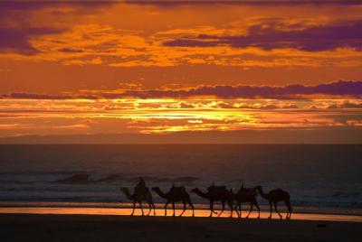 Essaouira: circuito de 3 horas en puesta de sol especial en camel