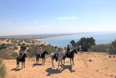 Cabalgata de medio día + picnic Cabalgata de medio día + picnic