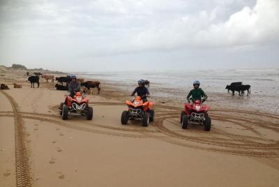 Paseo en quad de 1 hora por la playa y las dunas de Essaouira.