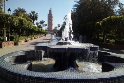 Excursión de un día completo a Marrakech