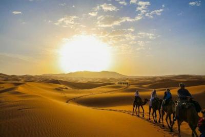 Sunset Camel Trek - M'Hamid El Ghizlane