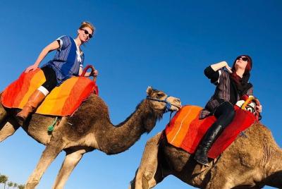 Excursión de un día a las montañas del Atlas 3 Valles y paseo en 