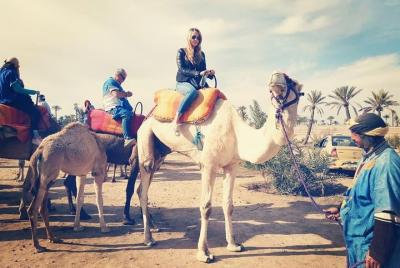 Experiencia de paseo en camello por Marrakech