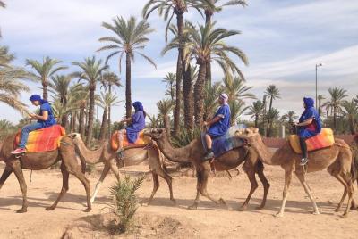 Actividades en Marrakech Paseo en camello en palmeral.