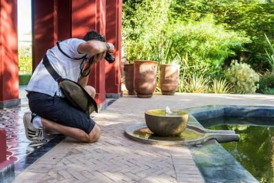 Recorrido fotográfico privado de medio día en Marrakech