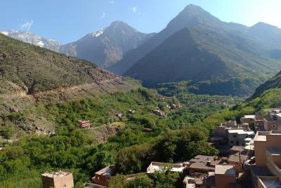 Excursión de un día a las montañas del Atlas en camello desde Mar