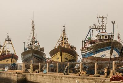 Excursión de un día desde Marrakech a Essaouira