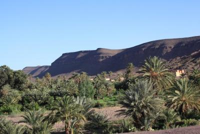 Tour Ouarzazate en Fint Oasis con cena Tour Ouarzazate en Fint Oasis con cena