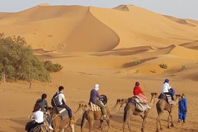 Excursión privada de 6 días de Tánger al desierto (+ Chaouen, Fez Excursión privada de 6 días de Tánger al desierto (+ Chaouen, Fez
