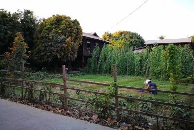 Mandalay & Rural Mandalay Sightseeing & Home Cooked Lunch