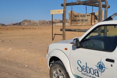 Paisaje lunar, incluidas las llanuras de Welwitchia