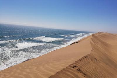 Excursión de día completo en 4x4 a Sandwich Harbour