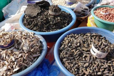 Swakopmund Histórico Cultural Local Food Township Day Tours