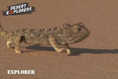 Excursión de 2 horas en quad Explorer