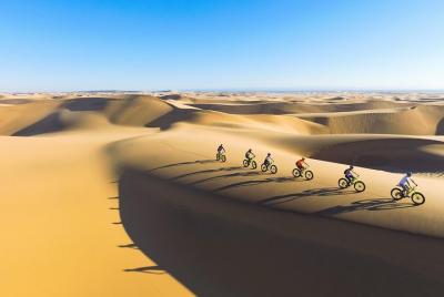 Tour escénico en el desierto en bicicleta
