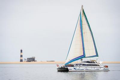 Crucero en velero con delfines y focas
