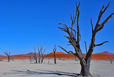 Desierto privado de Namib, vida silvestre y culturas